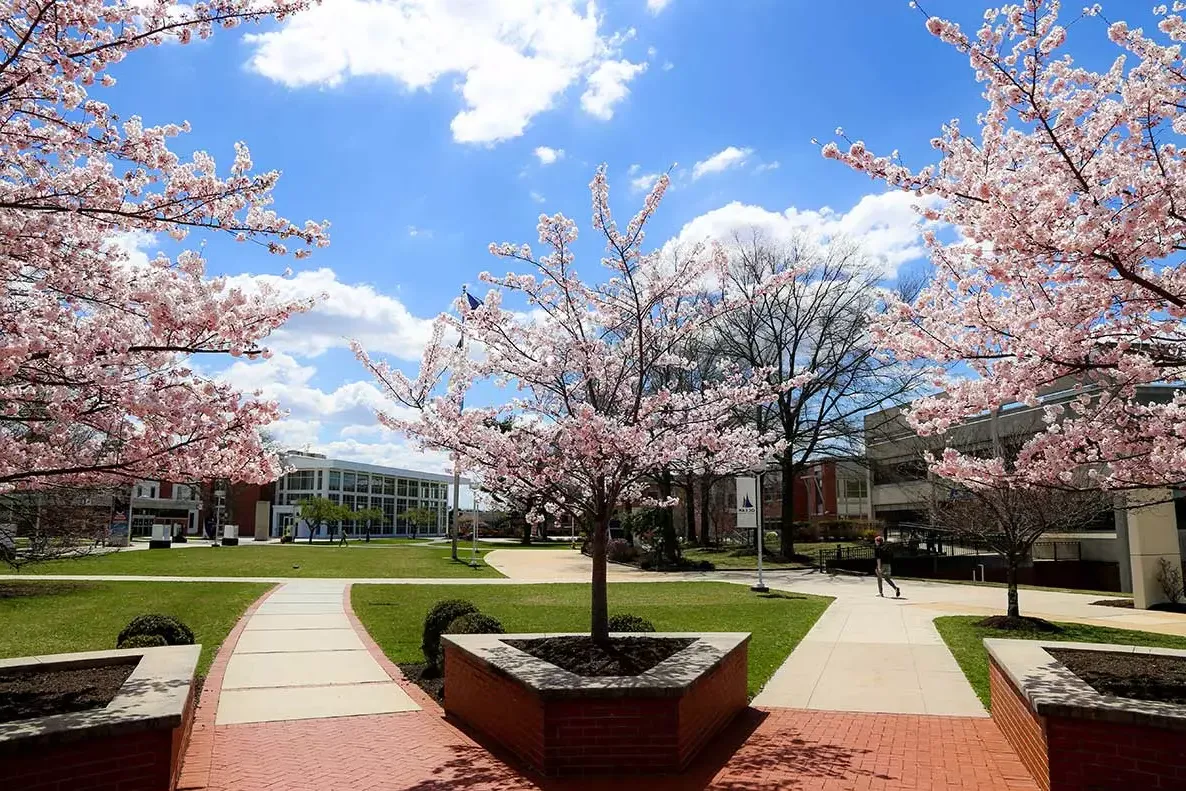 Campus in spring